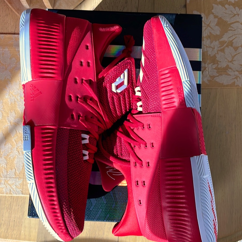 Damian lillard shoes lightly used